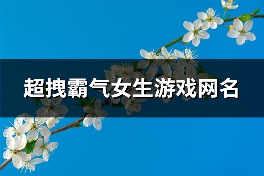 超拽霸气女生游戏网名(361个)