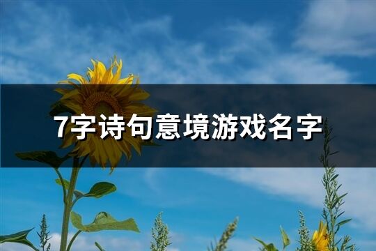 7字诗句意境游戏名字(共608个)