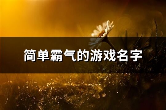 简单霸气的游戏名字(共123个)