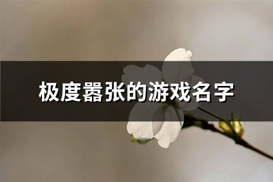 极度嚣张的游戏名字(精选559个)