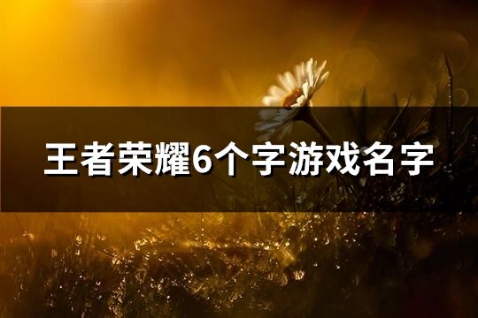 王者荣耀6个字游戏名字(优选978个)