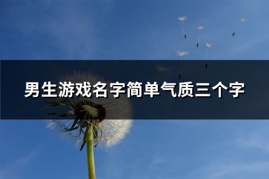 男生游戏名字简单气质三个字(精选370个)