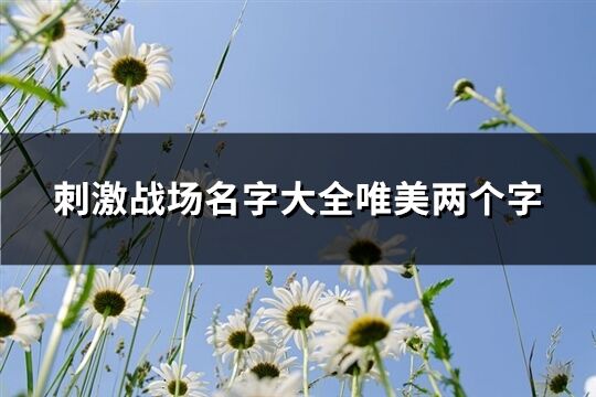 刺激战场名字大全唯美两个字(精选670个)