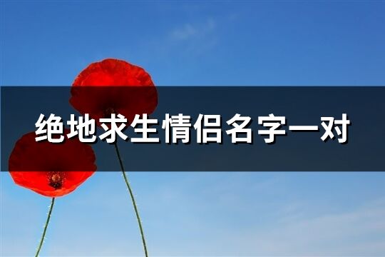 绝地求生情侣名字一对(优选150个)