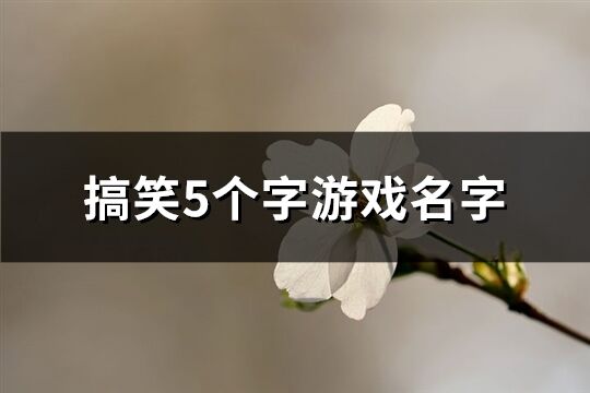 搞笑5个字游戏名字(精选638个)