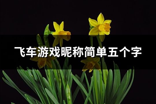 飞车游戏昵称简单五个字(共321个)