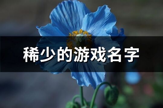 稀少的游戏名字(精选269个)