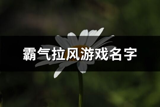 霸气拉风游戏名字(共999个)