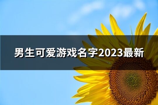 男生可爱游戏名字2023最新(共46个)