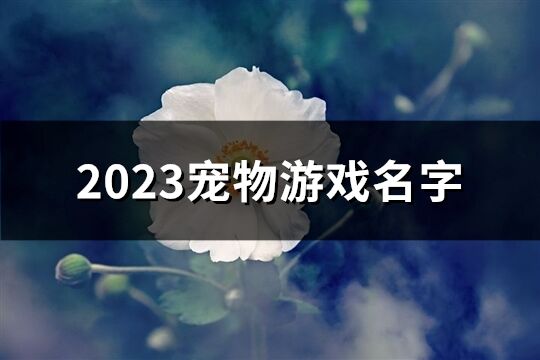 2023宠物游戏名字(共62个)