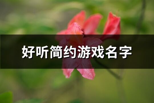 好听简约游戏名字(优选623个)