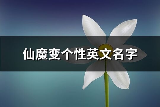 仙魔变个性英文名字(优选79个)