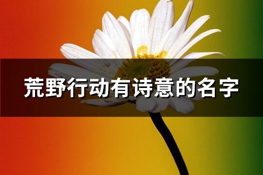 荒野行动有诗意的名字(241个)