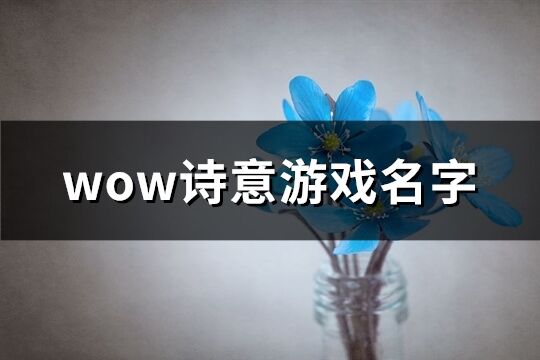 wow诗意游戏名字(优选138个)