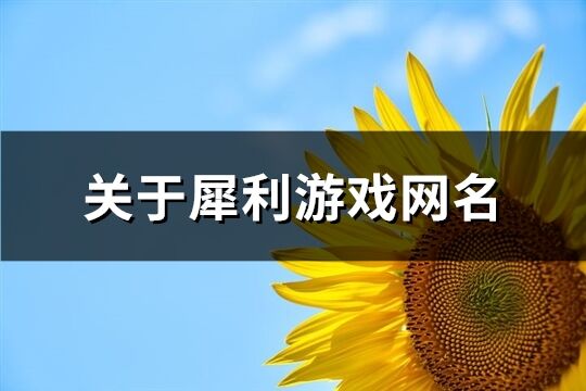 关于犀利游戏网名(171个)