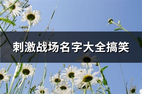 刺激战场名字大全搞笑(共165个)