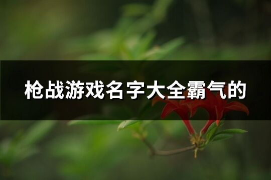 枪战游戏名字大全霸气的(优选161个)