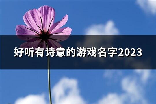 好听有诗意的游戏名字2023(共60个)