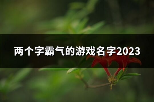 两个字霸气的游戏名字2023(共66个)