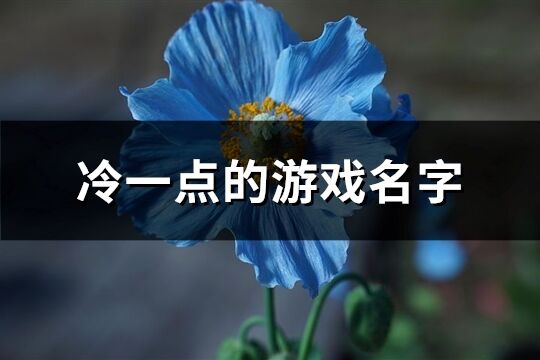 冷一点的游戏名字(共165个)