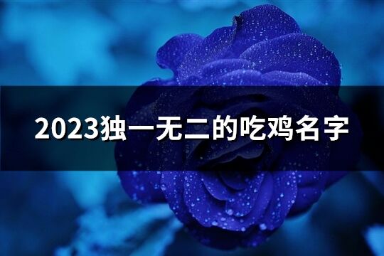 2023独一无二的吃鸡名字(共539个)