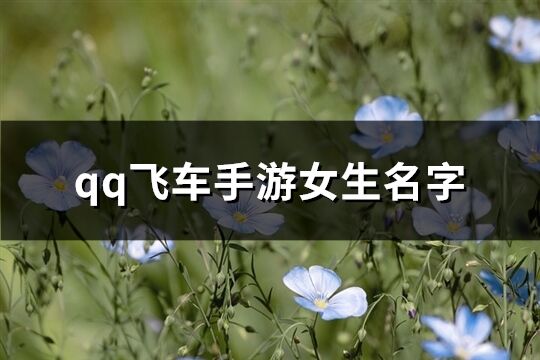 qq飞车手游女生名字(共124个)