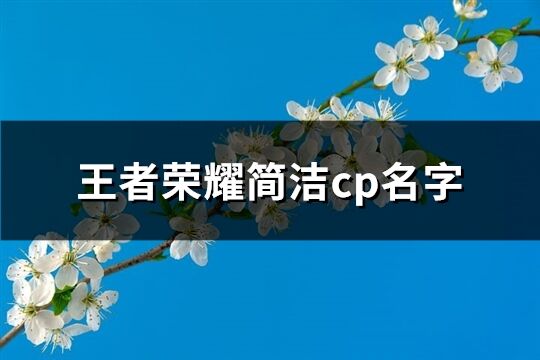 王者荣耀简洁cp名字(优选385个)