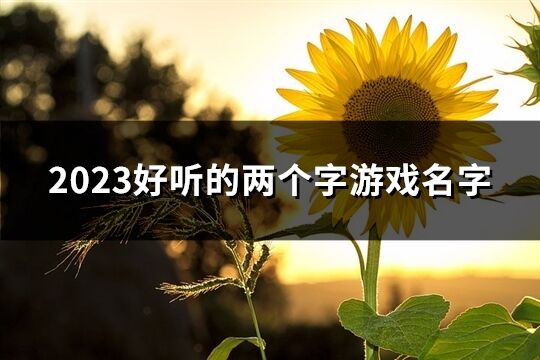 2023好听的两个字游戏名字(共534个)