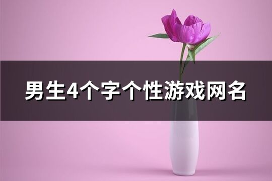 男生4个字个性游戏网名(精选566个)