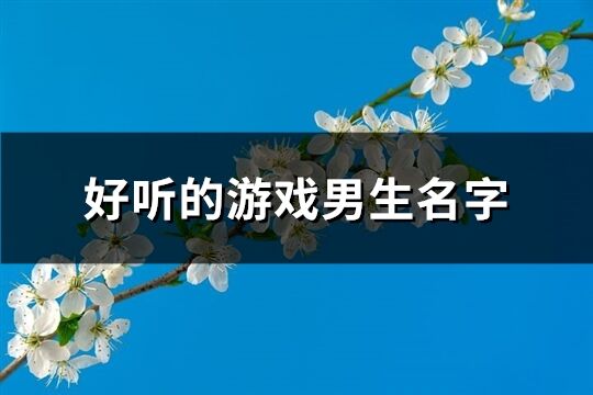 好听的游戏男生名字(优选672个)