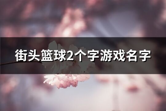 街头篮球2个字游戏名字(291个)