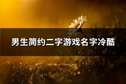 男生简约二字游戏名字冷酷(精选538个)