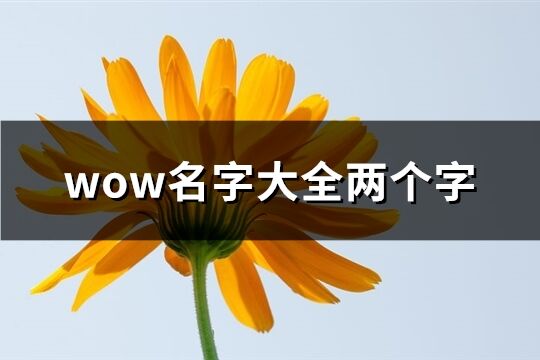 wow名字大全两个字(精选862个)