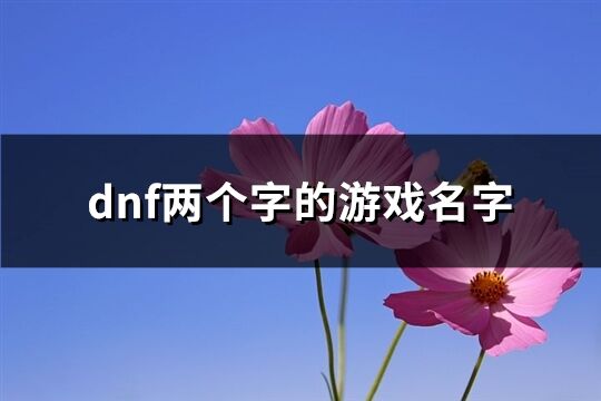 dnf两个字的游戏名字(523个)