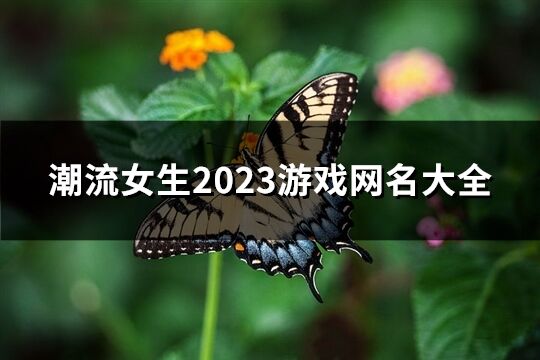 潮流女生2023游戏网名大全(739个)