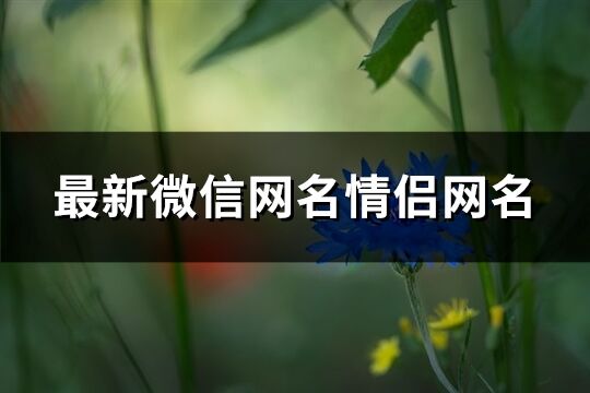 最新微信网名情侣网名(精选457个)