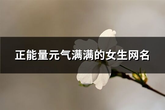 正能量元气满满的女生网名(161个)