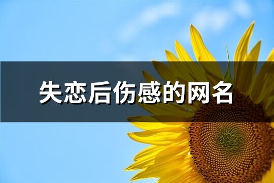 失恋后伤感的网名(共599个)