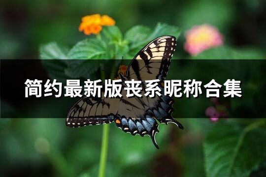 简约最新版丧系昵称合集(共358个)