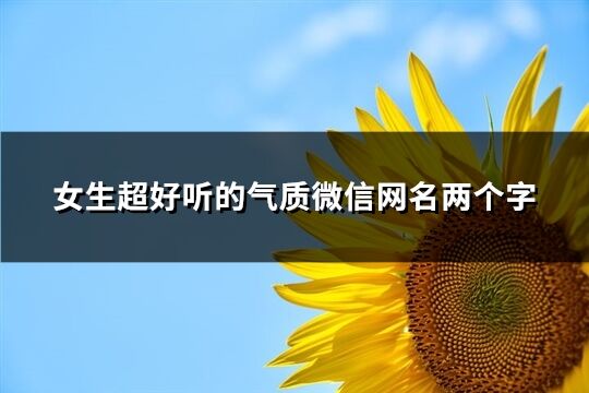 女生超好听的气质微信网名两个字(共297个)