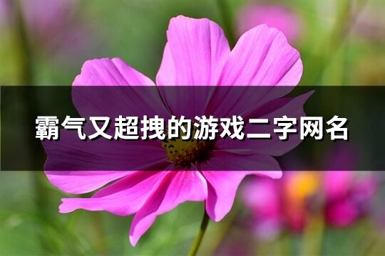 霸气又超拽的游戏二字网名(共534个)