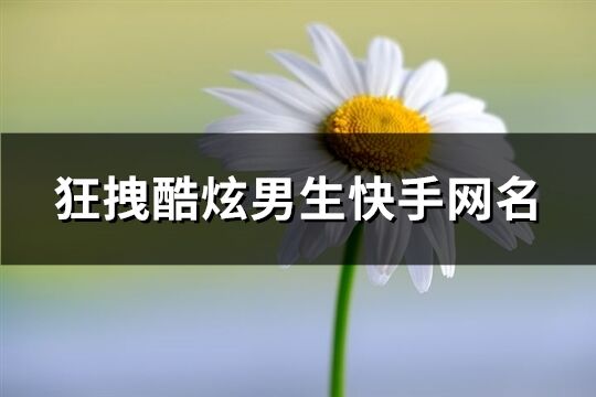 狂拽酷炫男生快手网名(265个)