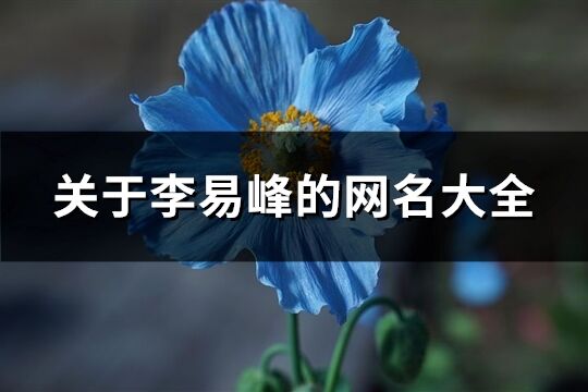 关于李易峰的网名大全(优选104个)