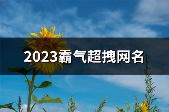 2023霸气超拽网名(共1166个)