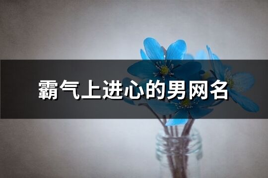 霸气上进心的男网名(175个)