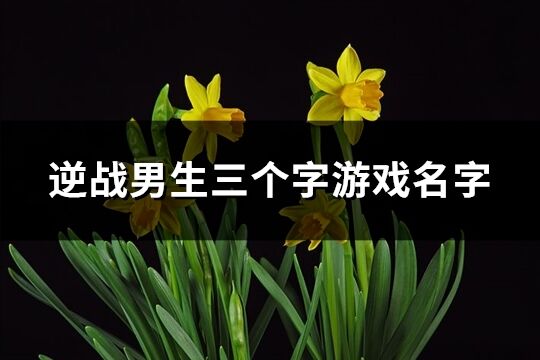 逆战男生三个字游戏名字(优选159个)