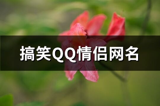 搞笑QQ情侣网名(优选80个)