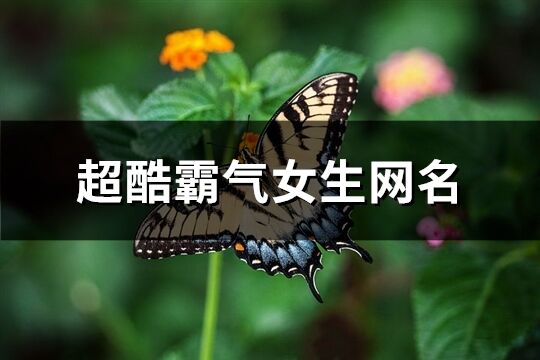 超酷霸气女生网名(共517个)