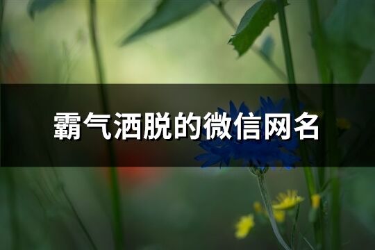 霸气洒脱的微信网名(共757个)