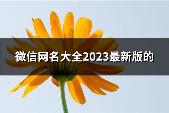 微信网名大全2023最新版的(优选1759个)